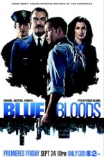 Watch Letmewatchthis Blue Bloods Online